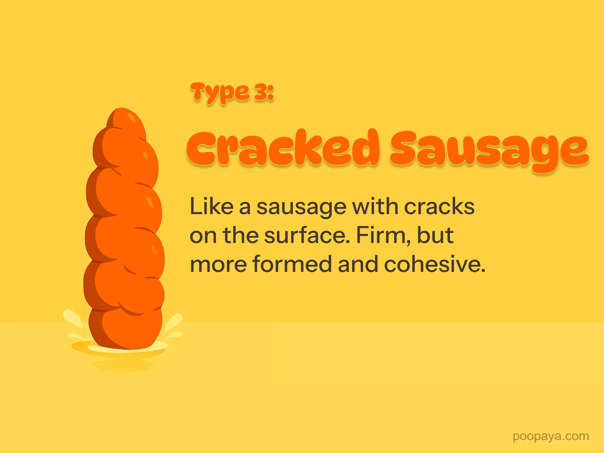 Bristol stool type 3 illustration: cracked sausage — like a sausage with cracks on the surface, firm but formed